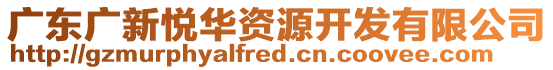 廣東廣新悅?cè)A資源開(kāi)發(fā)有限公司