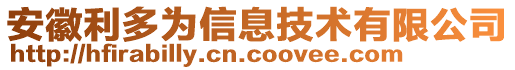 安徽利多為信息技術有限公司