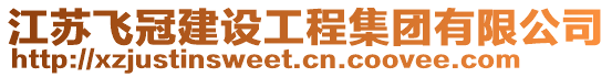江蘇飛冠建設(shè)工程集團(tuán)有限公司