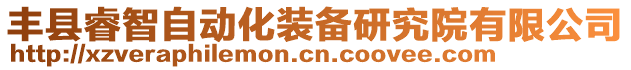 豐縣睿智自動化裝備研究院有限公司