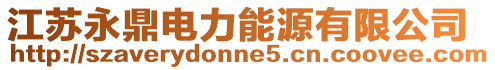 江蘇永鼎電力能源有限公司