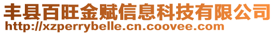 豐縣百旺金賦信息科技有限公司