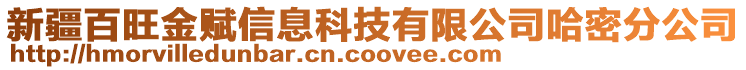 新疆百旺金賦信息科技有限公司哈密分公司