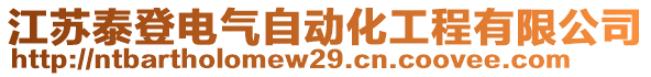 江蘇泰登電氣自動(dòng)化工程有限公司