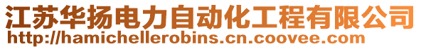 江蘇華揚電力自動化工程有限公司