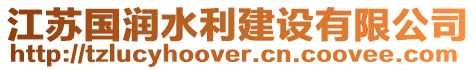 江蘇國潤水利建設有限公司