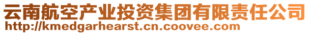 云南航空產業投資集團有限責任公司