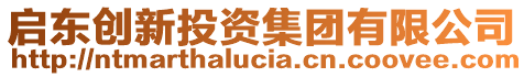 啟東創(chuàng)新投資集團有限公司