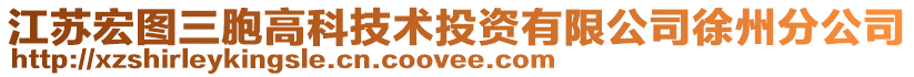 江蘇宏圖三胞高科技術(shù)投資有限公司徐州分公司