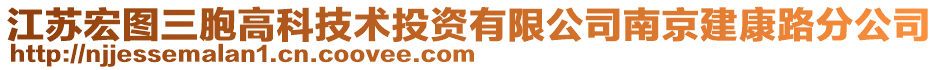 江蘇宏圖三胞高科技術(shù)投資有限公司南京建康路分公司