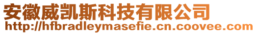 安徽威凱斯科技有限公司