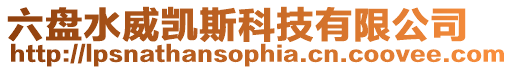 六盤水威凱斯科技有限公司