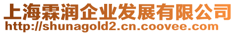 上海霖潤企業(yè)發(fā)展有限公司