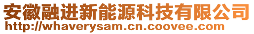 安徽融進新能源科技有限公司