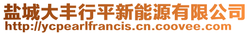鹽城大豐行平新能源有限公司