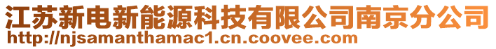 江蘇新電新能源科技有限公司南京分公司