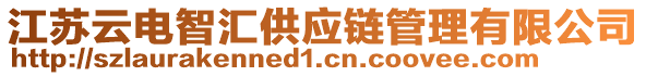 江蘇云電智匯供應(yīng)鏈管理有限公司