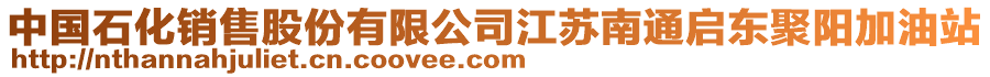 中國石化銷售股份有限公司江蘇南通啟東聚陽加油站