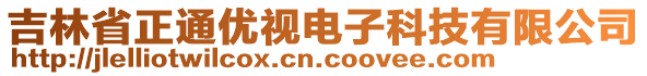 吉林省正通優(yōu)視電子科技有限公司