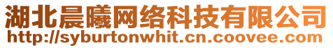 湖北晨曦網絡科技有限公司