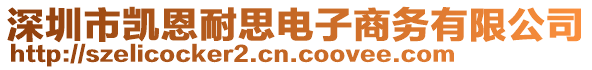 深圳市凱恩耐思電子商務(wù)有限公司