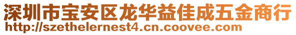 深圳市寶安區(qū)龍華益佳成五金商行