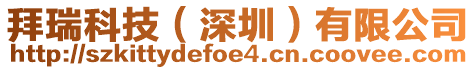 拜瑞科技(深圳)有限公司