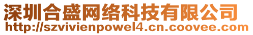 深圳合盛網(wǎng)絡(luò)科技有限公司