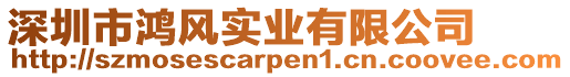 深圳市鴻風實業(yè)有限公司