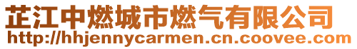 芷江中燃城市燃氣有限公司