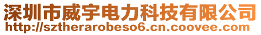 深圳市威宇電力科技有限公司