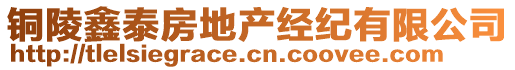 銅陵鑫泰房地產(chǎn)經(jīng)紀(jì)有限公司