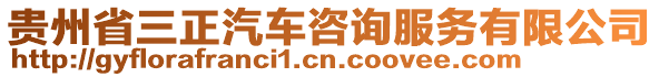 貴州省三正汽車咨詢服務(wù)有限公司