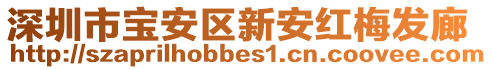 深圳市寶安區(qū)新安紅梅發(fā)廊