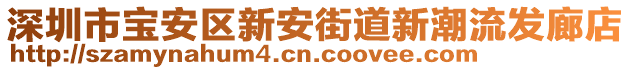 深圳市寶安區(qū)新安街道新潮流發(fā)廊店