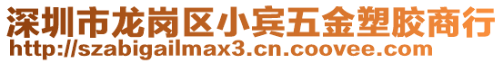 深圳市龍崗區(qū)小賓五金塑膠商行