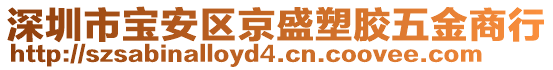 深圳市寶安區(qū)京盛塑膠五金商行