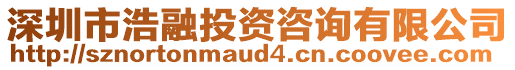 深圳市浩融投資咨詢有限公司