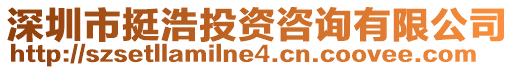 深圳市挺浩投資咨詢(xún)有限公司