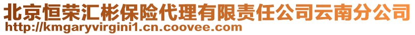 北京恒榮匯彬保險代理有限責任公司云南分公司