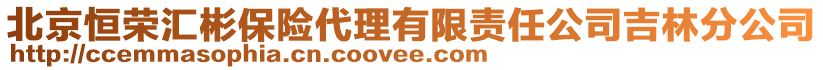 北京恒榮匯彬保險代理有限責任公司吉林分公司