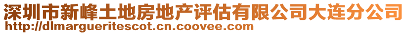 深圳市新峰土地房地產評估有限公司大連分公司