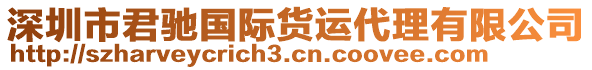 深圳市君馳國際貨運(yùn)代理有限公司