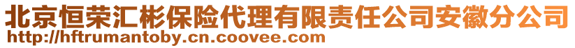 北京恒榮匯彬保險代理有限責任公司安徽分公司