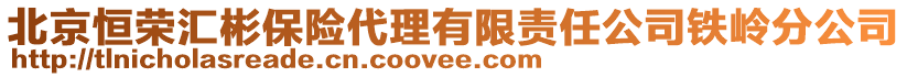 北京恒榮匯彬保險(xiǎn)代理有限責(zé)任公司鐵嶺分公司