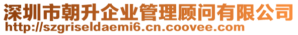 深圳市朝升企業(yè)管理顧問有限公司