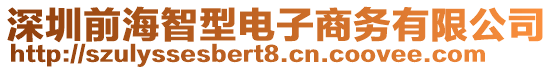 深圳前海智型電子商務(wù)有限公司