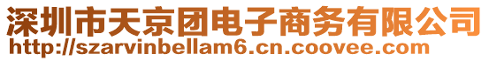 深圳市天京團電子商務(wù)有限公司