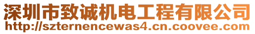 深圳市致誠機電工程有限公司