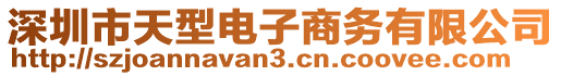 深圳市天型電子商務(wù)有限公司